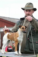 /album/fotogalerie/vystaa-jpg/