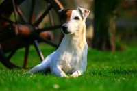 /album/fotogalerie/a1259001070-final6-jpg/