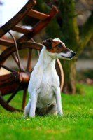 /album/fotogalerie/a1259002639-final1-jpg/