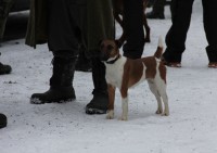 /album/fotogalerie/img-2045-jpg/