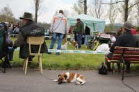 /album/fotogalerie/vystava-jpg/